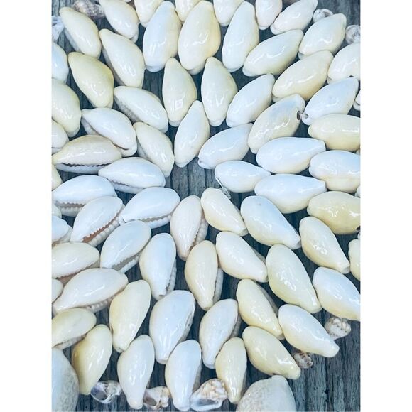 Vintage Handmade Coastal Shell Trivet Round Hot Pad Boho Nautical Beach Decor - Picture 4 of 4